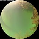 ./images/calvert/underwater/20260726/underwater20260726_100501M.jpg