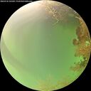 ./images/calvert/underwater/20260726/underwater20260726_101001M.jpg