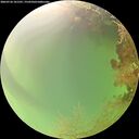 ./images/calvert/underwater/20260726/underwater20260726_101501M.jpg