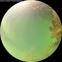 ./images/calvert/underwater/20260726/underwater20260726_102002M.jpg