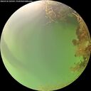 ./images/calvert/underwater/20260726/underwater20260726_103501M.jpg