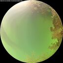 ./images/calvert/underwater/20260726/underwater20260726_105001M.jpg