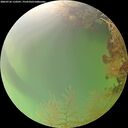 ./images/calvert/underwater/20260726/underwater20260726_110501M.jpg