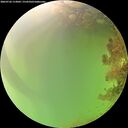 ./images/calvert/underwater/20260726/underwater20260726_113002M.jpg
