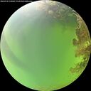 ./images/calvert/underwater/20260726/underwater20260726_114001M.jpg