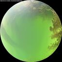 ./images/calvert/underwater/20260726/underwater20260726_115001M.jpg