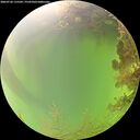 ./images/calvert/underwater/20260726/underwater20260726_115501M.jpg