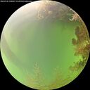 ./images/calvert/underwater/20260726/underwater20260726_120001M.jpg