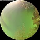 ./images/calvert/underwater/20260726/underwater20260726_120501M.jpg