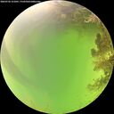 ./images/calvert/underwater/20260726/underwater20260726_121001M.jpg