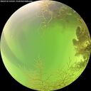 ./images/calvert/underwater/20260726/underwater20260726_122501M.jpg