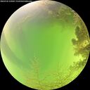 ./images/calvert/underwater/20260726/underwater20260726_123001M.jpg