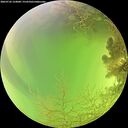 ./images/calvert/underwater/20260726/underwater20260726_124001M.jpg