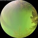 ./images/calvert/underwater/20260726/underwater20260726_124501M.jpg