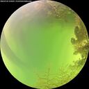 ./images/calvert/underwater/20260726/underwater20260726_125001M.jpg