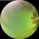 ./images/calvert/underwater/20260726/underwater20260726_130501M.jpg