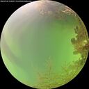 ./images/calvert/underwater/20260726/underwater20260726_132001M.jpg