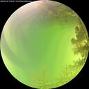 ./images/calvert/underwater/20260726/underwater20260726_133501M.jpg