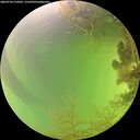 ./images/calvert/underwater/20260726/underwater20260726_134501M.jpg