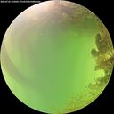 ./images/calvert/underwater/20260726/underwater20260726_135002M.jpg