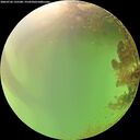 ./images/calvert/underwater/20260726/underwater20260726_135501M.jpg