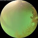 ./images/calvert/underwater/20260726/underwater20260726_140001M.jpg