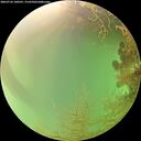 ./images/calvert/underwater/20260726/underwater20260726_140501M.jpg