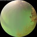 ./images/calvert/underwater/20260726/underwater20260726_141001M.jpg
