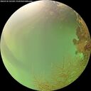 ./images/calvert/underwater/20260726/underwater20260726_141501M.jpg