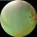 ./images/calvert/underwater/20260726/underwater20260726_142001M.jpg