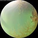 ./images/calvert/underwater/20260726/underwater20260726_143501M.jpg