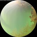 ./images/calvert/underwater/20260726/underwater20260726_144502M.jpg