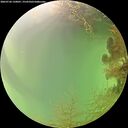 ./images/calvert/underwater/20260726/underwater20260726_150001M.jpg