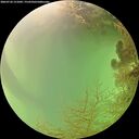 ./images/calvert/underwater/20260726/underwater20260726_151001M.jpg
