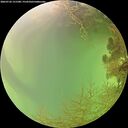 ./images/calvert/underwater/20260726/underwater20260726_151501M.jpg