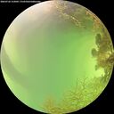 ./images/calvert/underwater/20260726/underwater20260726_152001M.jpg