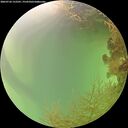 ./images/calvert/underwater/20260726/underwater20260726_152501M.jpg