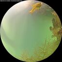 ./images/calvert/underwater/20260726/underwater20260726_153001M.jpg