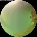 ./images/calvert/underwater/20260726/underwater20260726_153501M.jpg