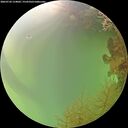 ./images/calvert/underwater/20260726/underwater20260726_154001M.jpg