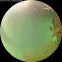 ./images/calvert/underwater/20260726/underwater20260726_155001M.jpg