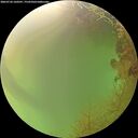 ./images/calvert/underwater/20260726/underwater20260726_160501M.jpg