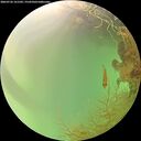 ./images/calvert/underwater/20260726/underwater20260726_161502M.jpg