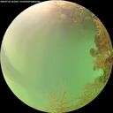 ./images/calvert/underwater/20260726/underwater20260726_163501M.jpg