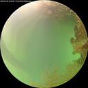 ./images/calvert/underwater/20260726/underwater20260726_164502M.jpg