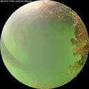 ./images/calvert/underwater/20260726/underwater20260726_172001M.jpg