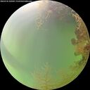 ./images/calvert/underwater/20260726/underwater20260726_182002M.jpg