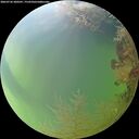 ./images/calvert/underwater/20260726/underwater20260726_200501M.jpg