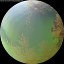 ./images/calvert/underwater/20260726/underwater20260726_201501M.jpg