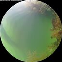 ./images/calvert/underwater/20260726/underwater20260726_202501M.jpg